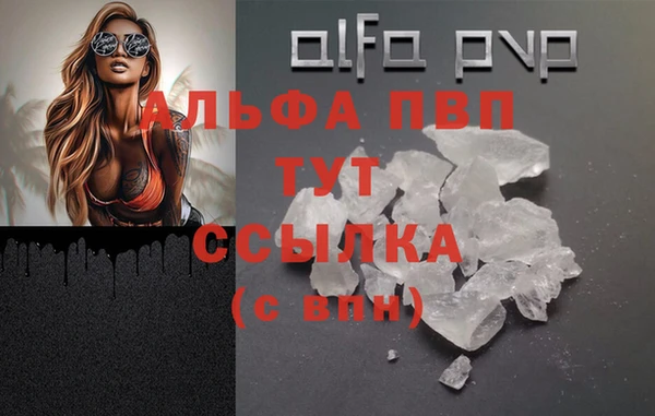 сатива Абаза
